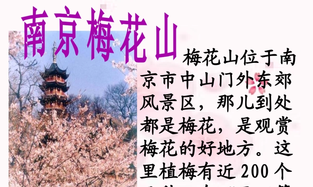 春到梅花山课件