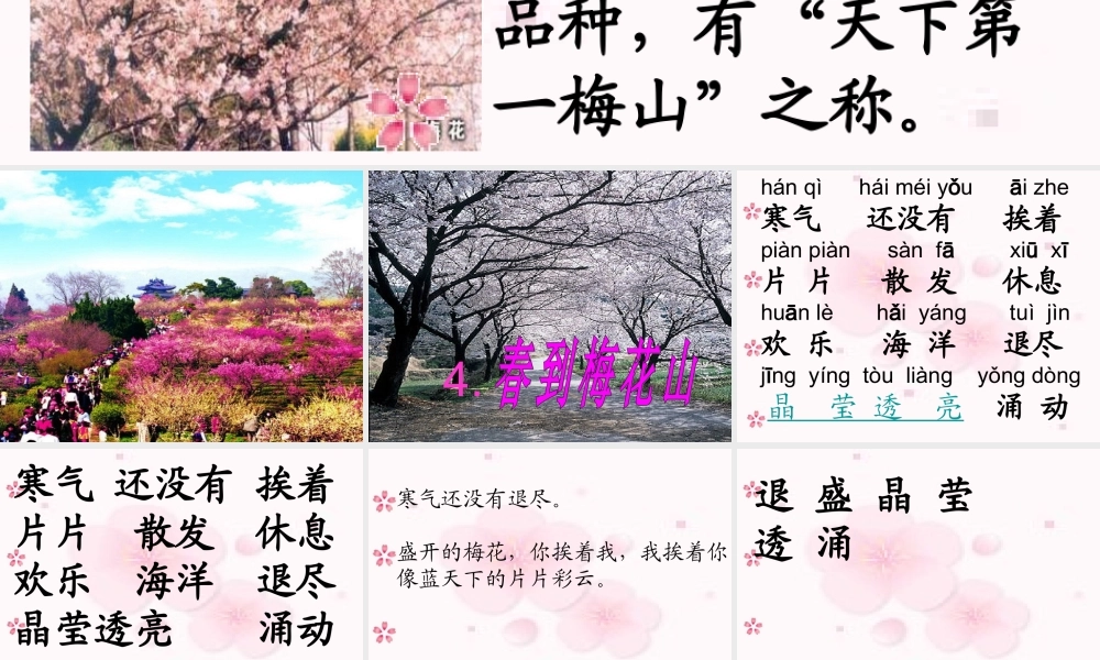 春到梅花山课件