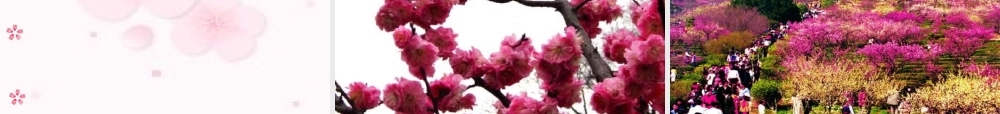 春到梅花山课件