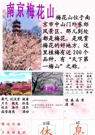 春到梅花山课件