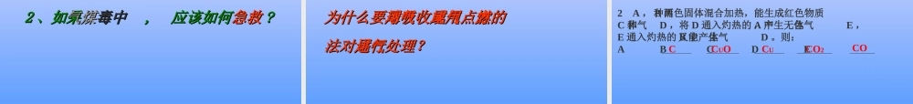 初中化学二氧化碳和一氧化碳课件3