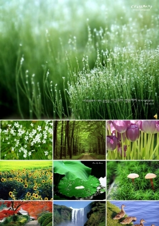 亲近自然写景要抓住特征