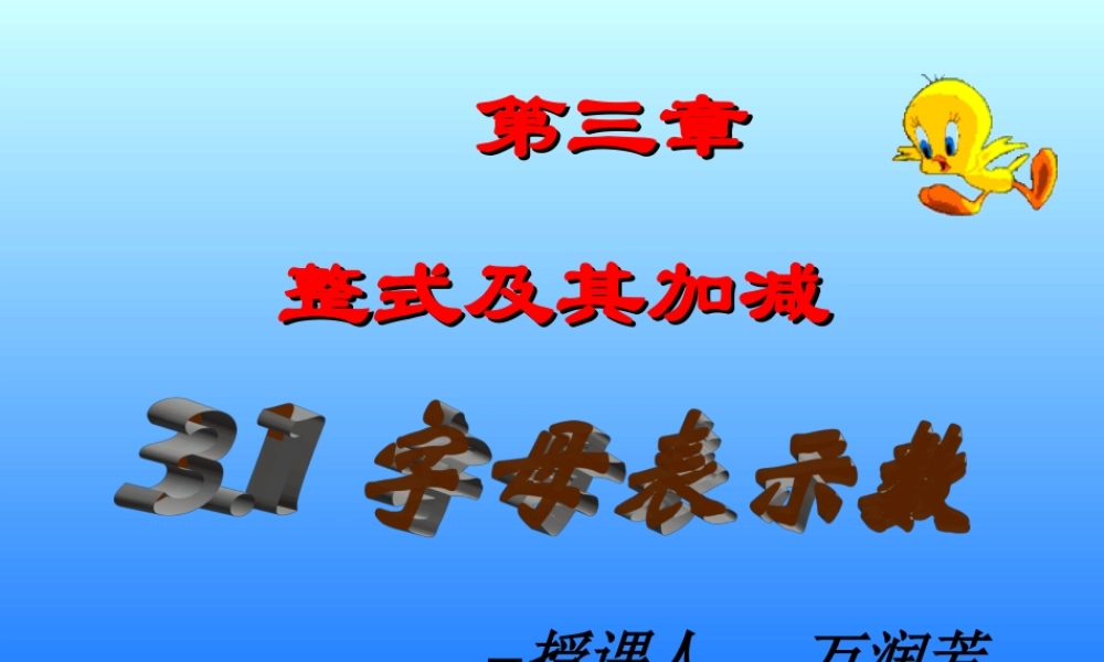 字母表示数（1）