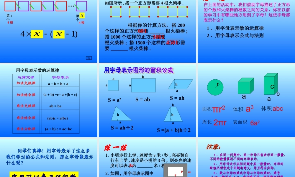 字母表示数（1）
