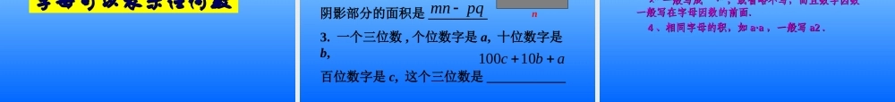 字母表示数（1）