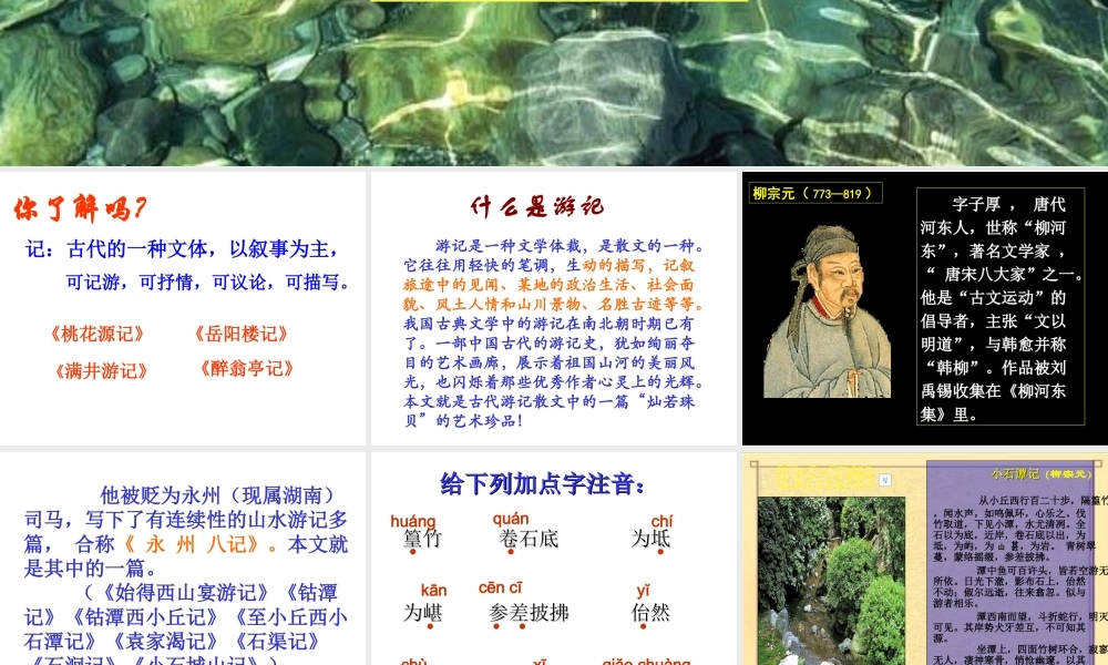 小石潭记（用）