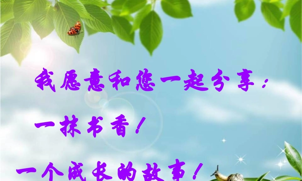 火鞋与风鞋》