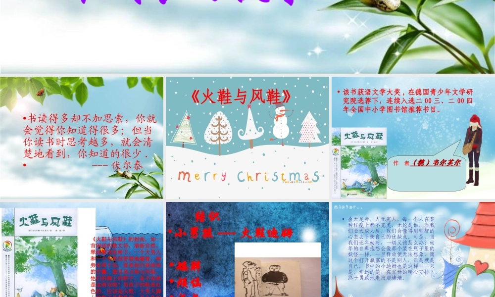 火鞋与风鞋》