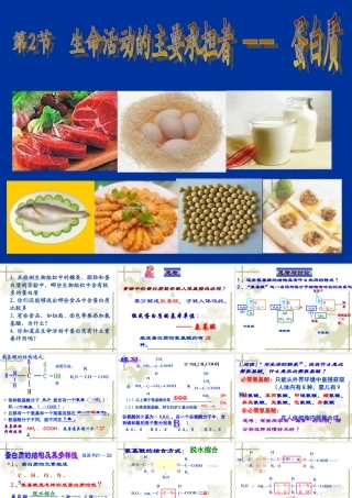 生命活动的主要承担者蛋白质 