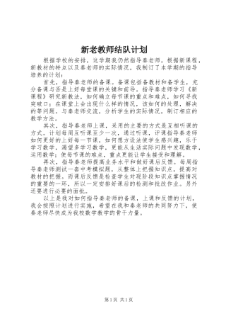 新老教师结队计划