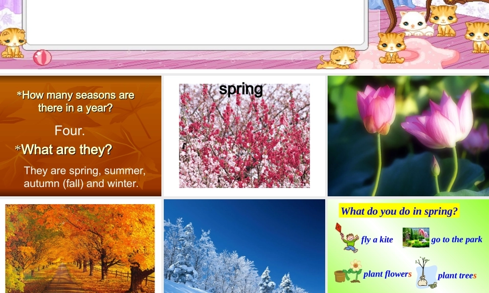 小学英语《季节》课件