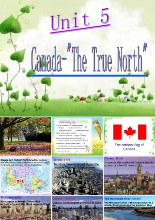 英语必修三unit5的课件