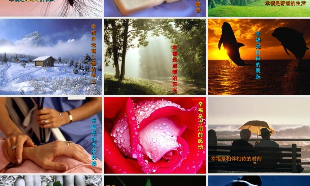 什么是幸福__图