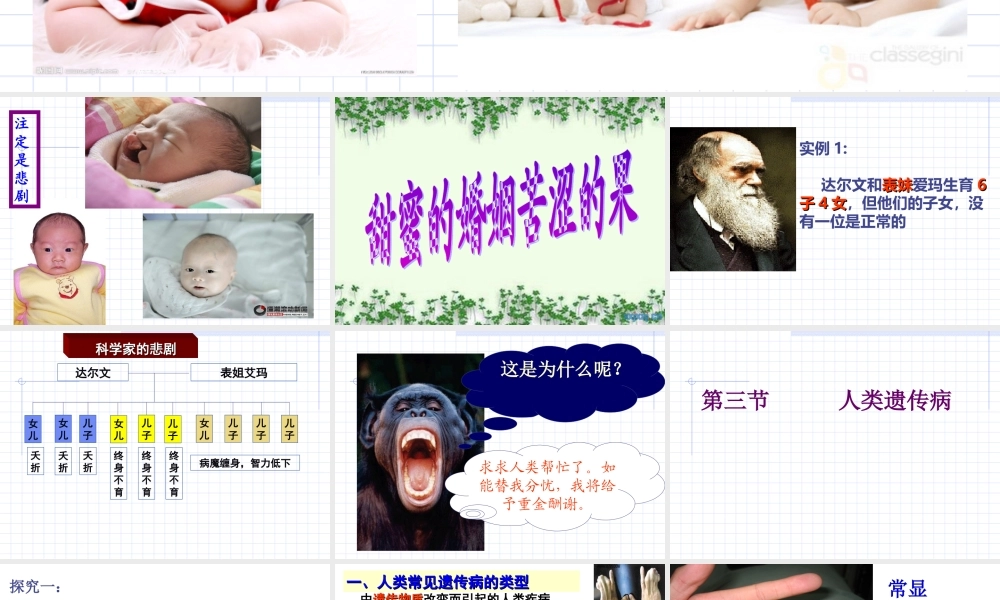 人类遗传病课件)