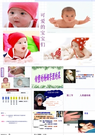 人类遗传病课件)