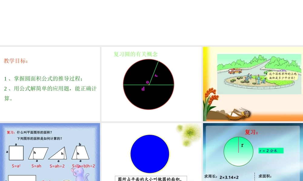 2014新人教版六数上——圆的面积