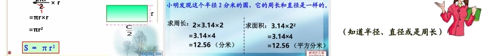 2014新人教版六数上——圆的面积