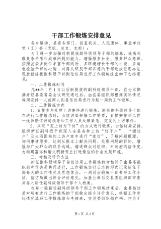 干部工作锻炼安排意见