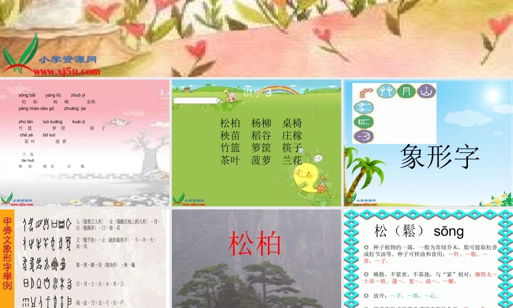 《识字3_2》PPT课件