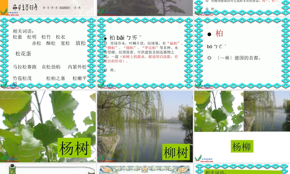 《识字3_2》PPT课件