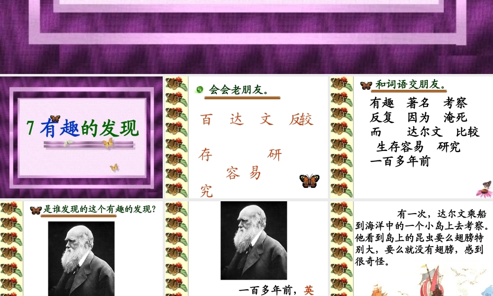 有趣的发现第二课时