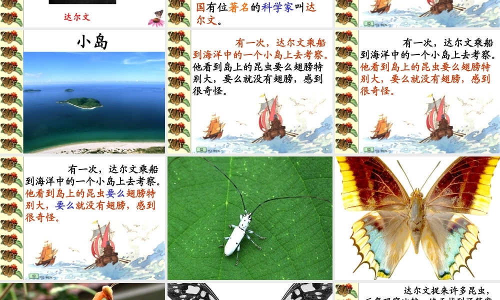 有趣的发现第二课时