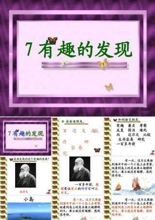 有趣的发现第二课时