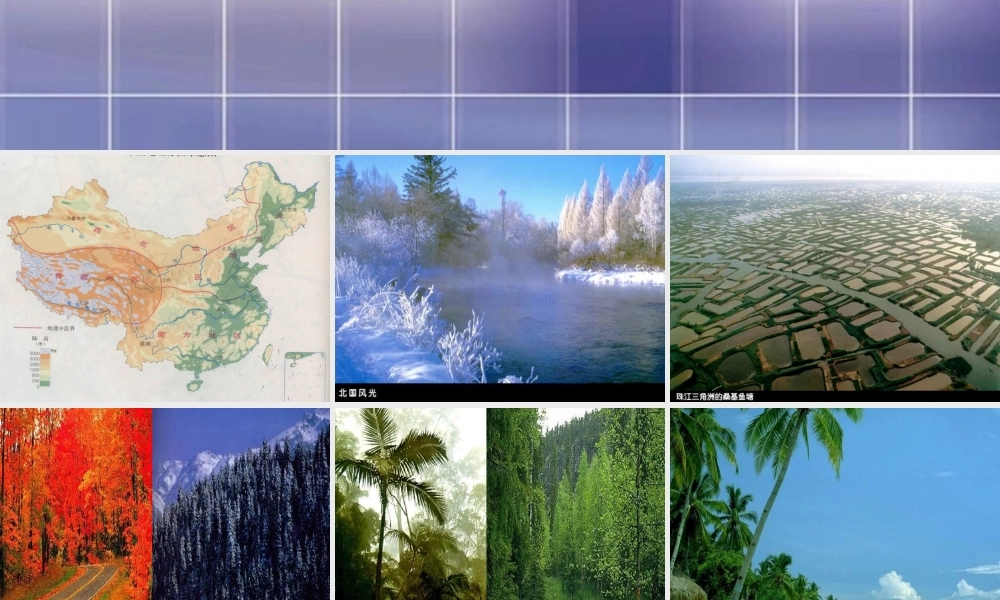 湘教版八年级下册52《北方地区和南方地区--人文差异》课件