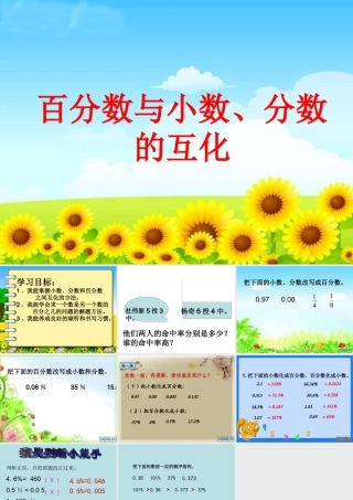 百分数、小数、分数互化 (2)