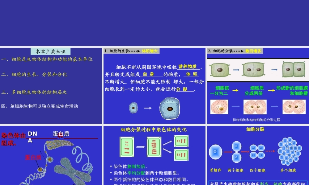 2014第二单元第二章细胞怎样构成生物体