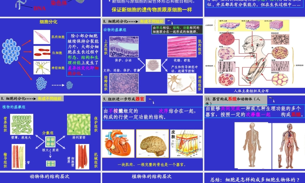 2014第二单元第二章细胞怎样构成生物体