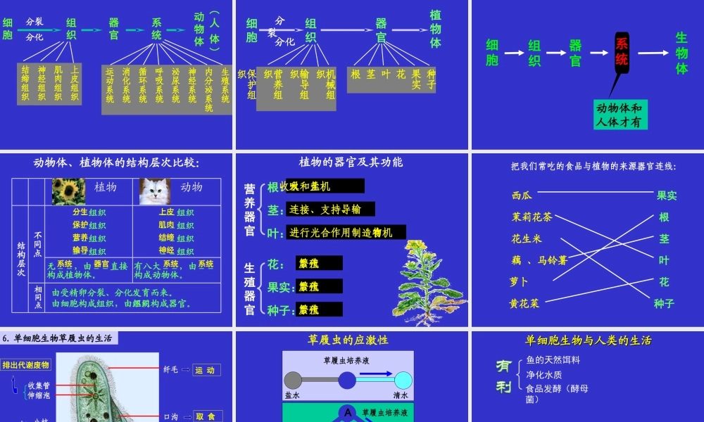 2014第二单元第二章细胞怎样构成生物体