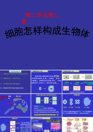 2014第二单元第二章细胞怎样构成生物体