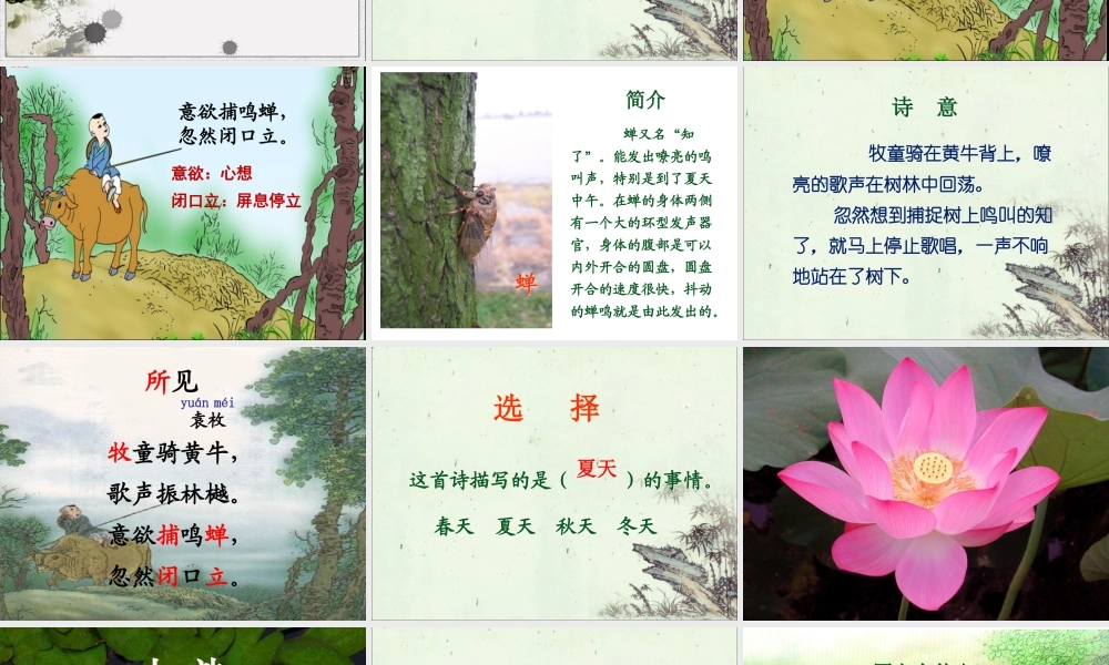 《古诗两首》课件1