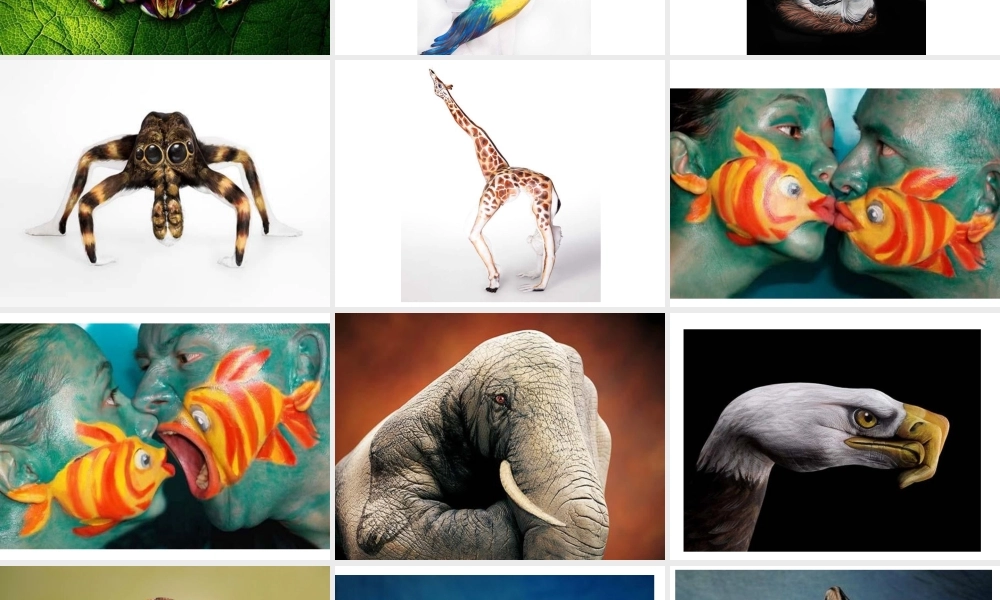 人体艺术t演示文稿