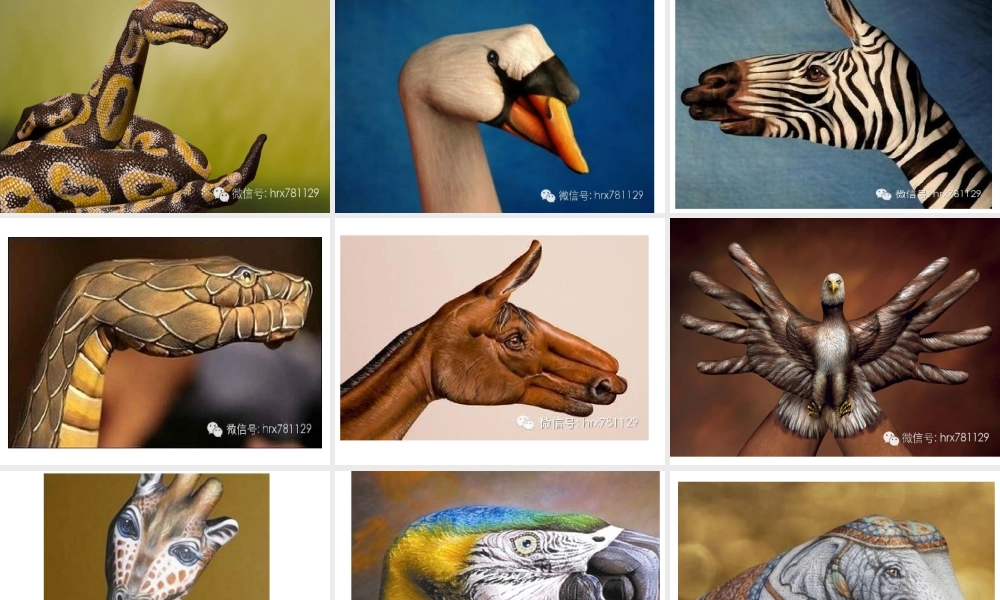 人体艺术t演示文稿