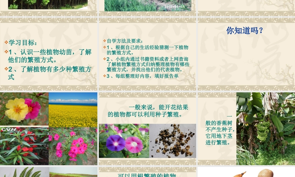 鄂教版小学科学五年级下册《植物的繁殖》课件