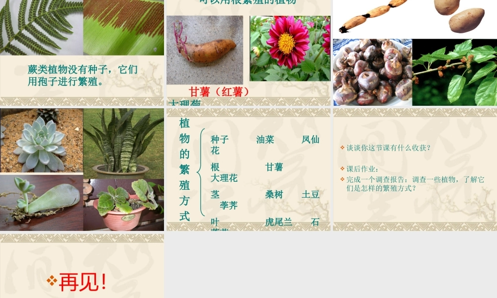 鄂教版小学科学五年级下册《植物的繁殖》课件
