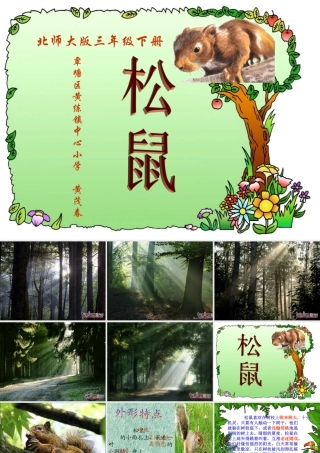《松鼠》课件(北师大版三年级下册语文课件) (2)