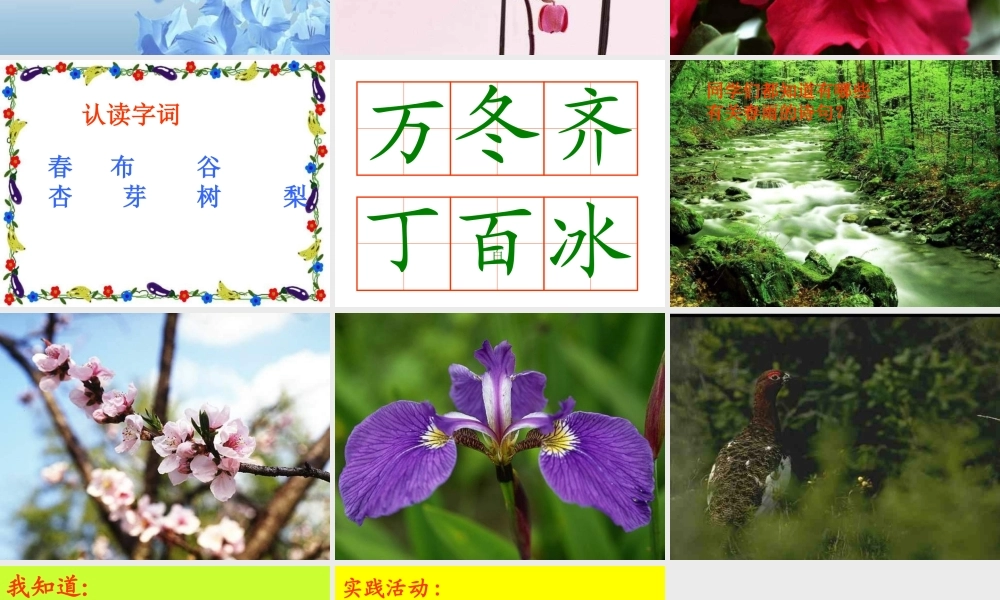 《识字1》课件（苏教版一年级语文下册课件）