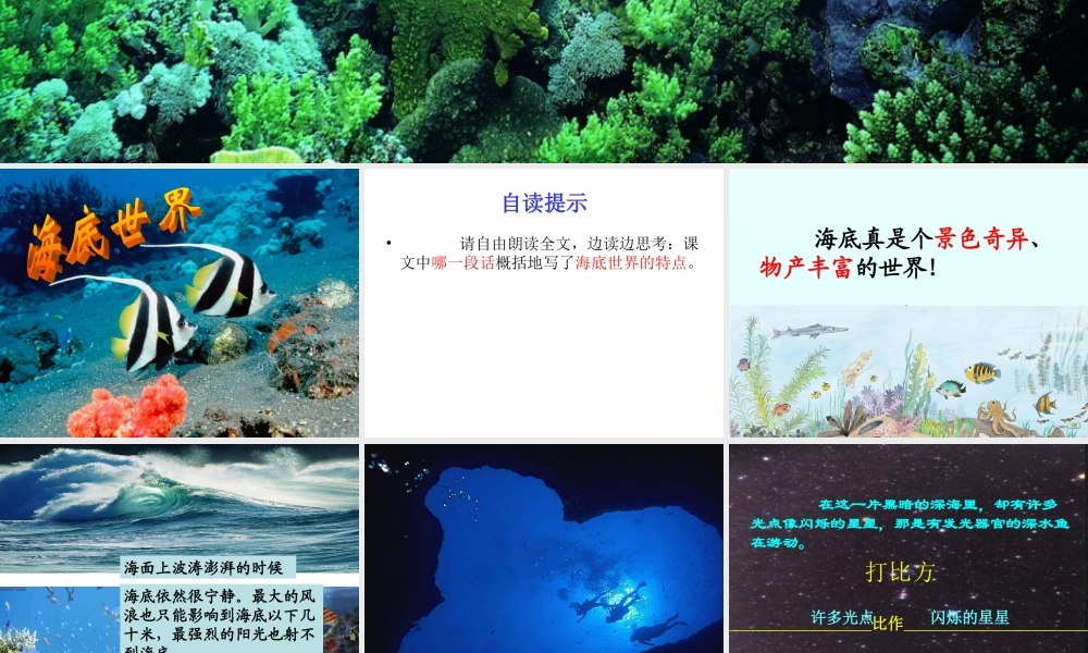 《海底世界》课件 (4)