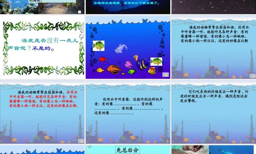 《海底世界》课件 (4)