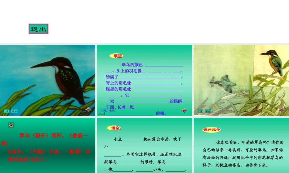 三年级语文翠鸟