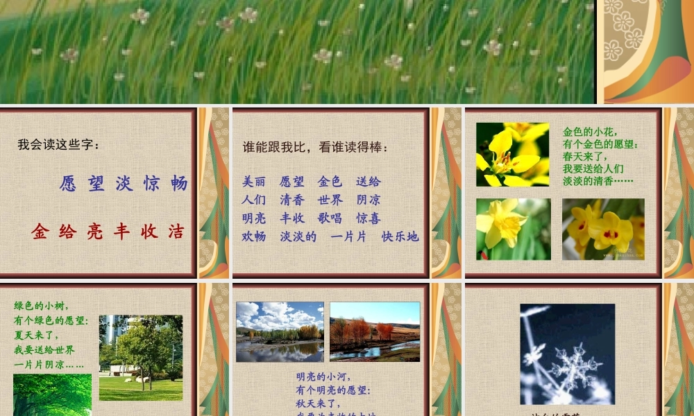 美丽的愿望课件