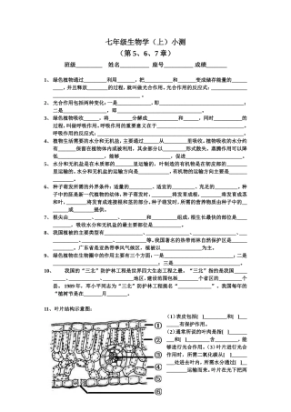 七上5、6、7章复习题