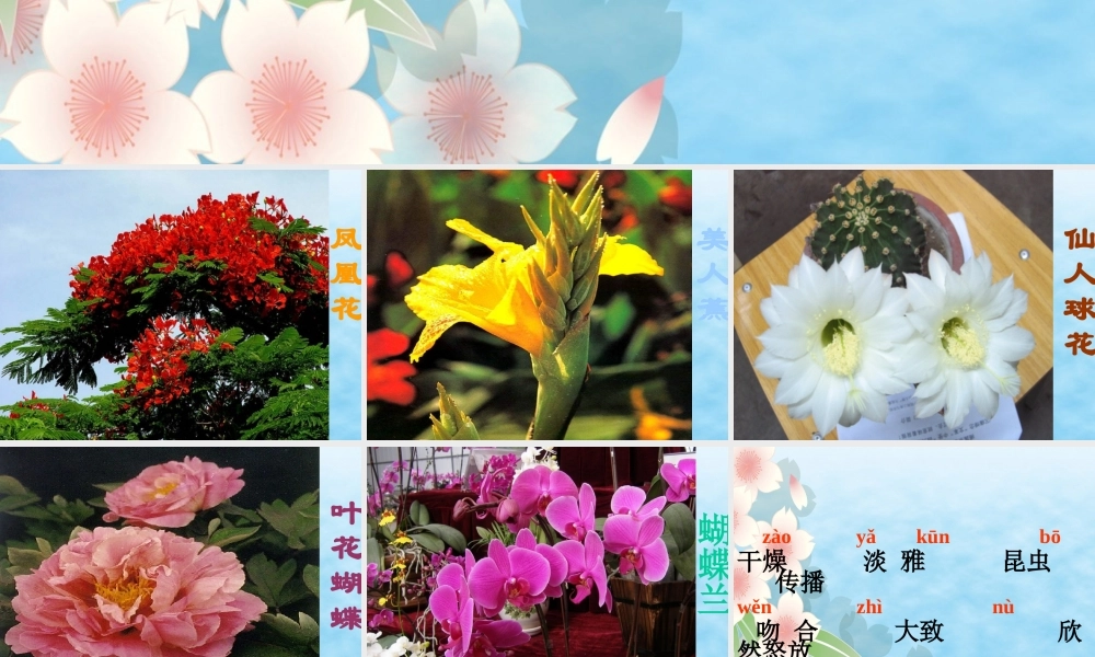 三年级《花钟》课件2[1]