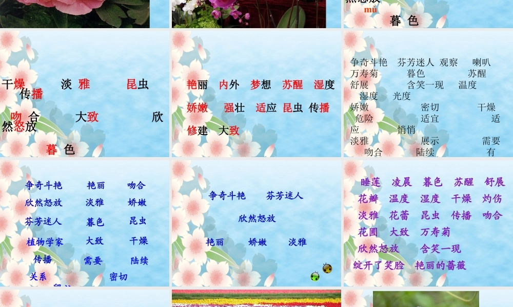 三年级《花钟》课件2[1]