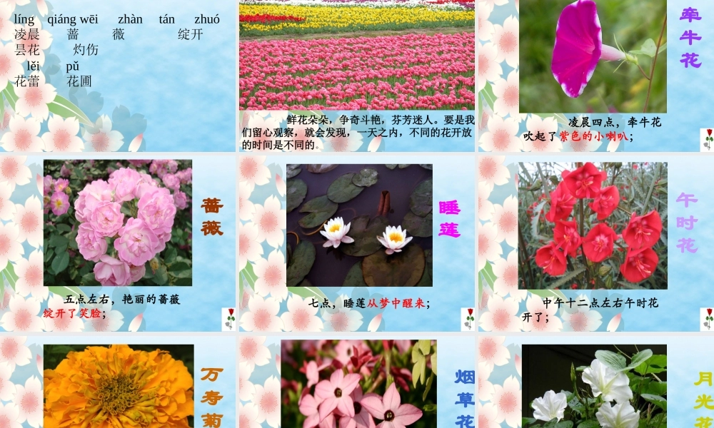 三年级《花钟》课件2[1]