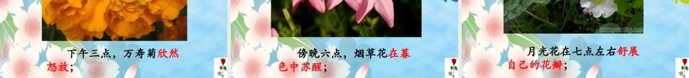 三年级《花钟》课件2[1]