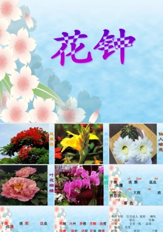 三年级《花钟》课件2[1]